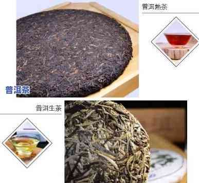 普洱熟属于什么茶类-普洱熟茶是属于什么茶类