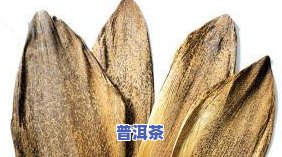 云南的普洱茶坑茶农-云南农村普洱茶