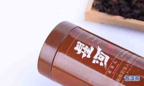 陈老野大红柑普洱茶-老茶头大红柑陈皮普洱