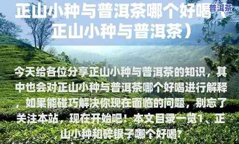 普洱熟茶与正山小种口感比较：哪个更好喝？