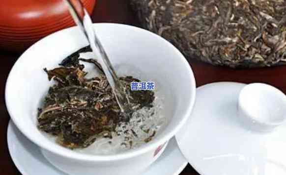 大份量普洱茶怎样泡好？详细步骤与技巧分享