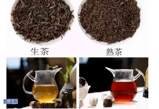 普洱生茶是什么茶?-普洱生茶是什么茶是红茶还是绿茶