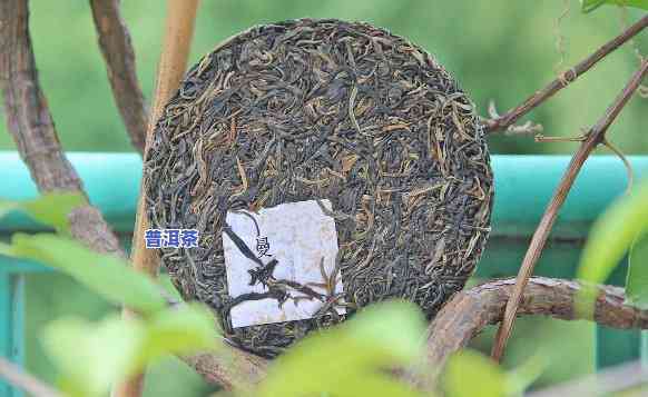 普洱茶泡茶要放多少茶叶，怎样冲泡普洱茶？- 详细解析茶叶用量与步骤