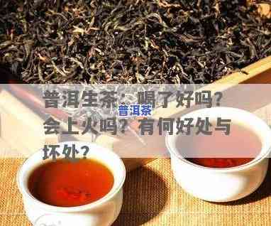 普洱茶生茶会上火吗？探讨其功效与饮用留意事项