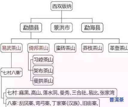 普洱源头茶业，探索普洱源头茶业：揭秘优质茶叶的诞生地