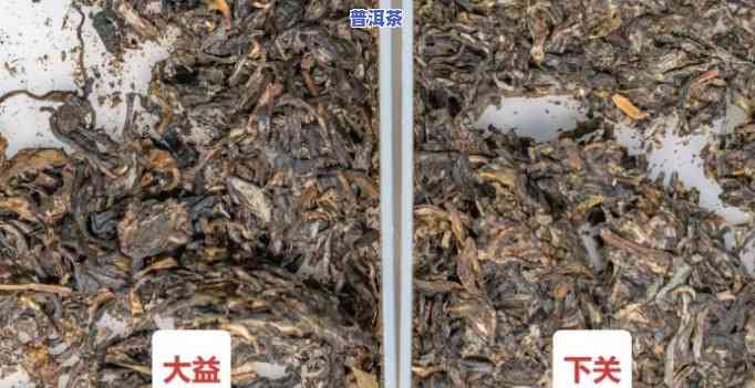 普洱茶大益和下关哪个好，普洱茶迷的福音：大益与下关，究竟哪个更好？