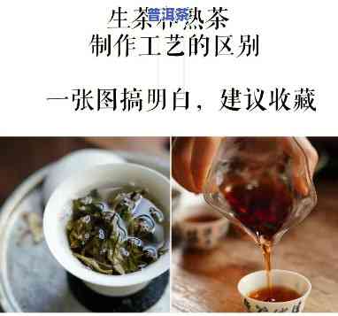 全面解析：普洱茶生熟区别外观图指南