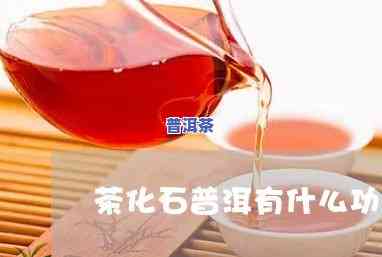 普洱茶活化石：揭示其特别功效与作用