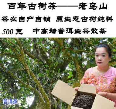 老乌山普洱茶多少钱一斤，老乌山普洱茶市场价格：每斤多少钱？