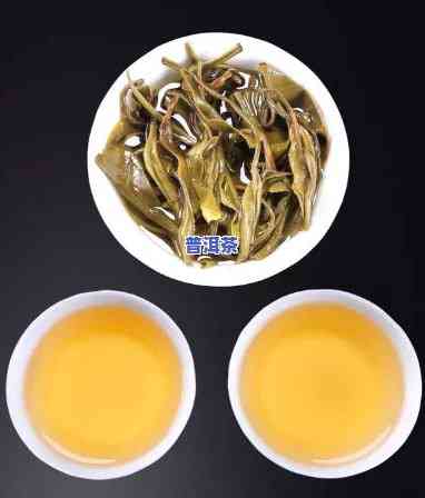 哪家的普洱茶是纯料做的？寻找真正的纯料普洱茶