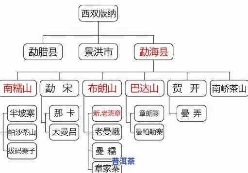 普洱生茶都有什么茶名，全攻略：探索普洱生茶的丰富种类与命名体系