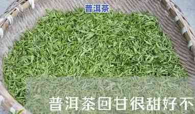 普洱茶新茶为何没回甘？详解起因与解决办法