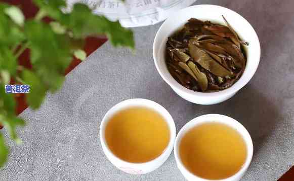 普洱生茶：红茶？绿茶？还是白茶？