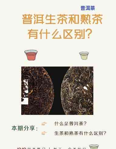 普洱茶是什么是生茶什么是熟茶？终于说明白了！