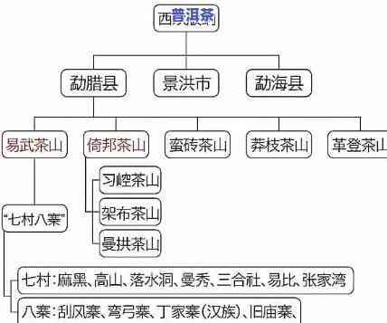 探索普洱茶三大茶区的特别特点