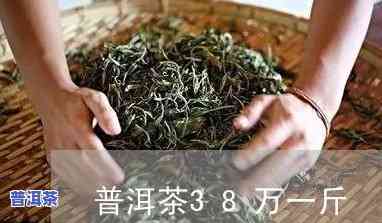 普洱茶八十八万一斤-普洱茶八十八万一斤是真的吗