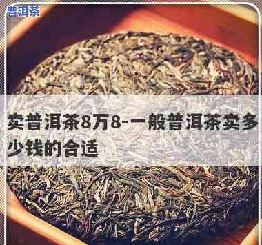 普洱茶八十八万一斤-普洱茶八十八万一斤是真的吗