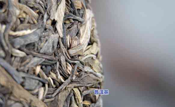 普洱茶一天更佳饮用量：合理控制在几克？