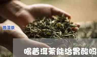 喝普洱茶胃会嗳气吗怎么办，喝普洱茶后胃嗳气？解决方案大揭秘！