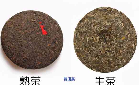 普洱生茶值不值得存储？探讨其存放价值