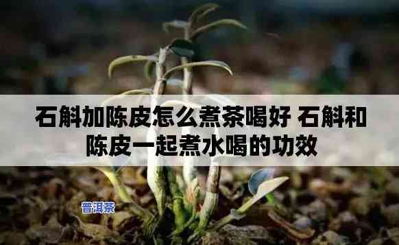 熟普陈皮石斛：能与石斛一起煮吗？探讨陈皮石斛茶的神奇功效