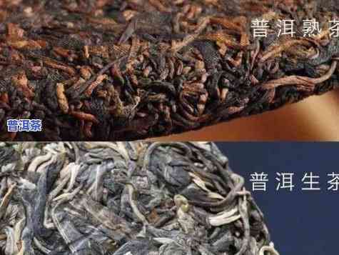 普洱生茶做旧的茶底-普洱生茶做旧的茶底能喝吗