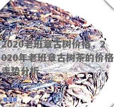 2020年老班章茶叶价格趋势与历史对比分析