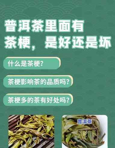 普洱茶很多茶梗，揭秘普洱茶：为何含有大量茶梗？