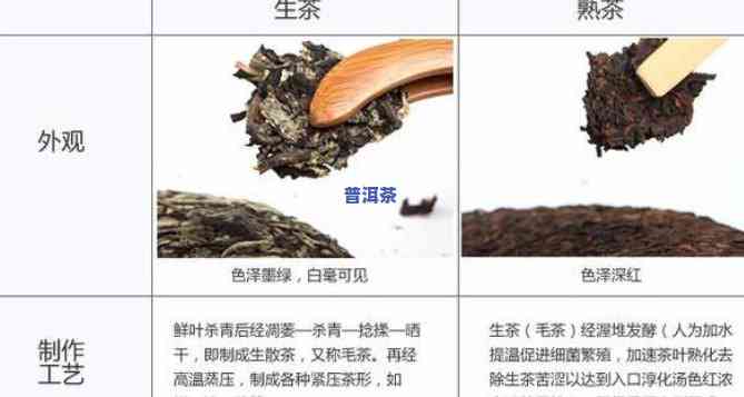 普洱生茶与熟茶喝法对比图：详解区别与冲泡技巧