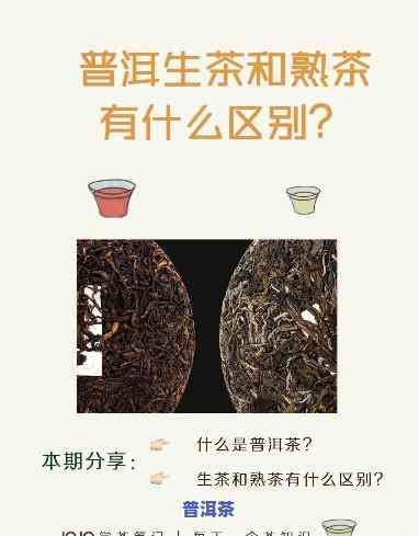 普洱生茶与熟茶喝法对比图：详解区别与冲泡技巧