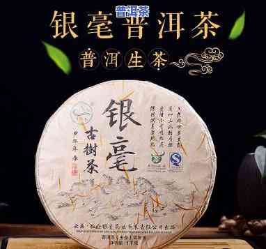 普洱茶银饼茶多少钱-普洱茶银饼茶多少钱一斤