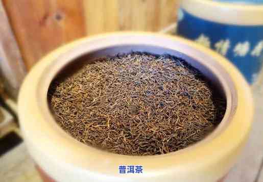 老树茶普洱生茶泡法-老树茶普洱生茶泡法视频