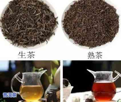 普洱生茶贵还是普洱熟茶贵，普洱生茶与熟茶：哪种更贵？