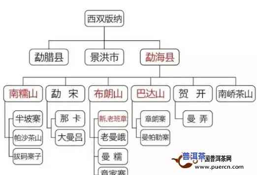 探寻普洱茶源头：产地、生产及购买全解析