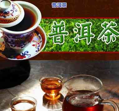 新会普洱茶的功效：揭示其特别作用与健康益处