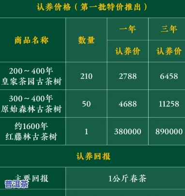 新会百年古树：探寻广东新会古迹，了解新会百年古树茶价格表