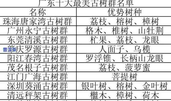 新会百年古树：探寻广东新会古迹，了解新会百年古树茶价格表