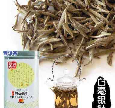 古树白毫银针属于什么茶，探秘茶叶世界：古树白毫银针的分类与特点