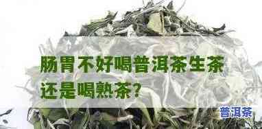 普洱生茶对胃好还是熟茶对胃好，普洱生茶 vs 熟茶：哪种对胃更好？