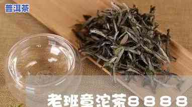 老班章沱茶8888-老班章沱茶价格