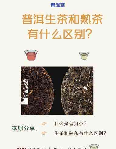 普洱生茶和熟茶能否混着喝？作用口感与功效的因素探讨