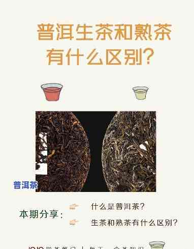 普洱生茶熟茶混着喝会作用口感和营养吗？