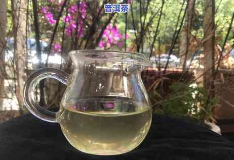 昆明老班章茶批发店在哪里？请提供详细地址。