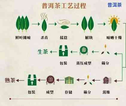 怎样分辨新工艺普洱茶，新手指南：怎样分辨新工艺普洱茶？