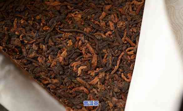 优质普洱茶熟茶不应有腥味、霉味