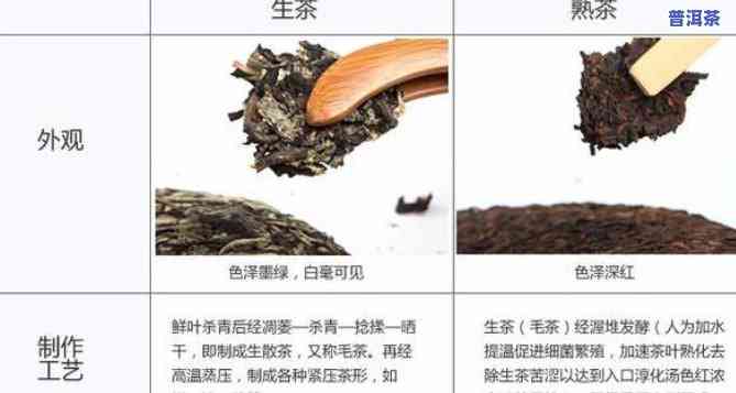 普洱茶生茶熟茶分类标准与表