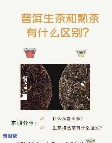 千年古树老班章生茶-老班章古树生茶的特点