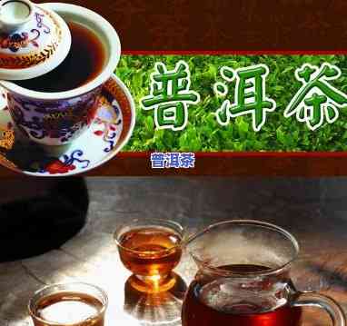 普洱茶与什么茶相克-普洱茶与什么茶相克不能喝