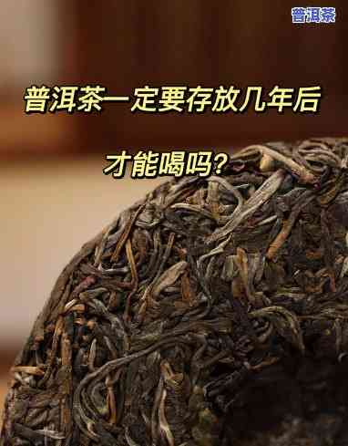 青普洱茶适合收藏吗-青普洱茶适合收藏吗