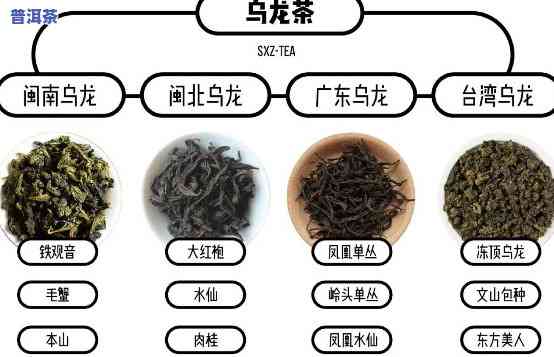 乌龙茶与老白茶：区别、保健效果对比